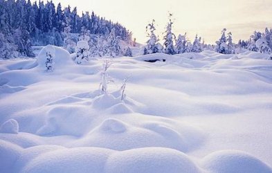 Paisaje helado de Siberia