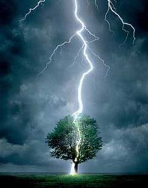 Rayo cayendo sobre un arbol