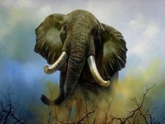 Dibujo de un elefante