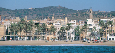 Vista de la playa de Badalona, con muchas palmeras alrededor.