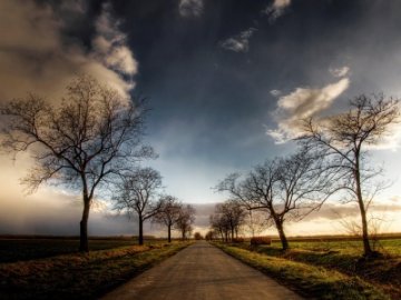 Recta de una carretera entre rboles